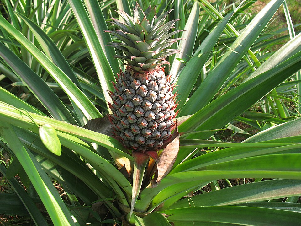 Товарные рекомендации статья